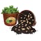 Emsco Group Spud Tub Potato Grow Kit, Works Great on Decks and Patios, Low Maintenance & High Potato Yields 2351-1 - alternate 1
